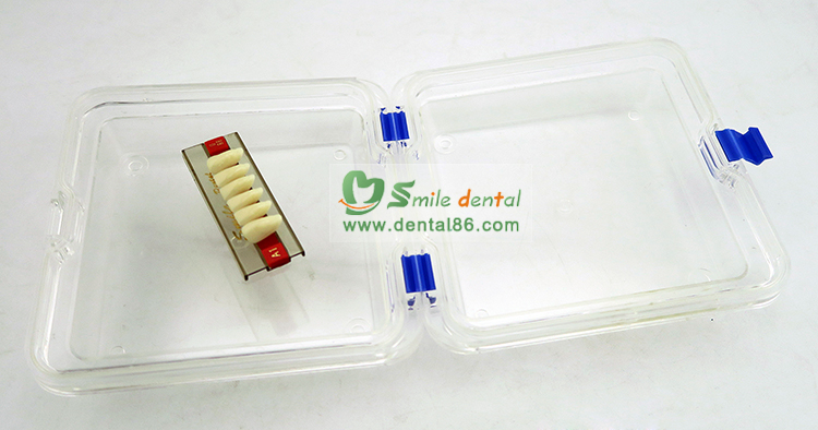 Denture Box